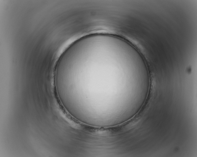 X0000112911375200909071524