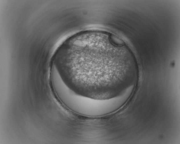 X0000112911376200909071524