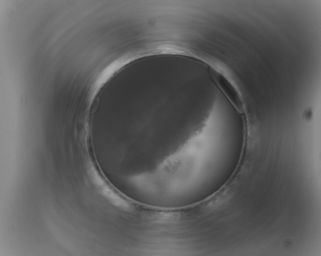 X0000112911381200909071524