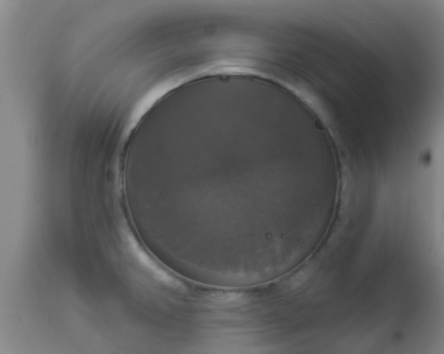 X0000112911382200909071524