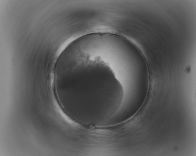 X0000112911383200909071524