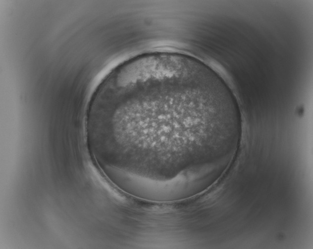 X0000112911384200909071524