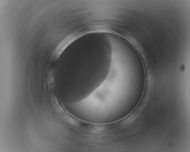 X0000112911385200909071524