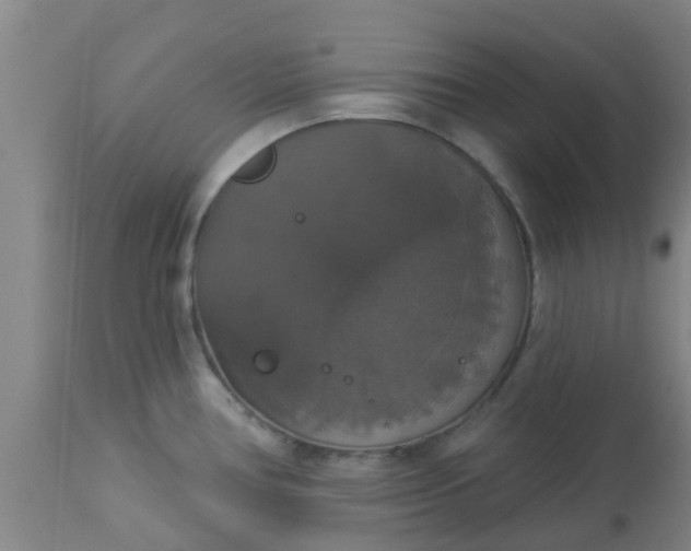 X0000112911386200909071524