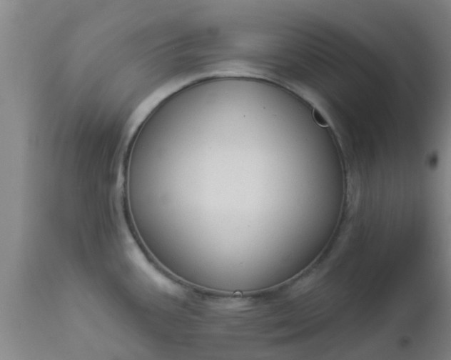 X0000112911387200909071524