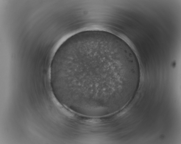 X0000112911388200909071524