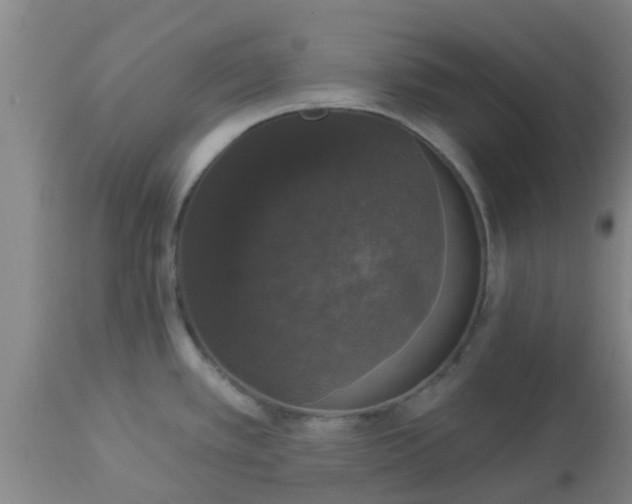 X0000112911389200909071524