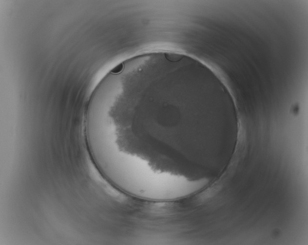 X0000112911390200909071524