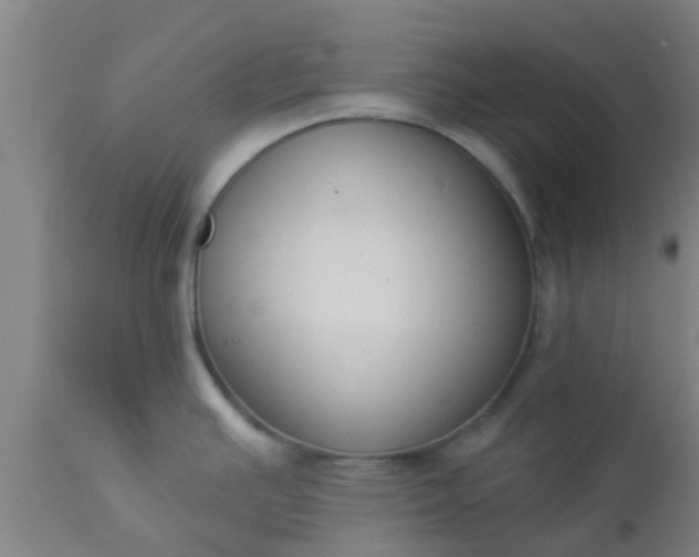 X0000112911391200909071524