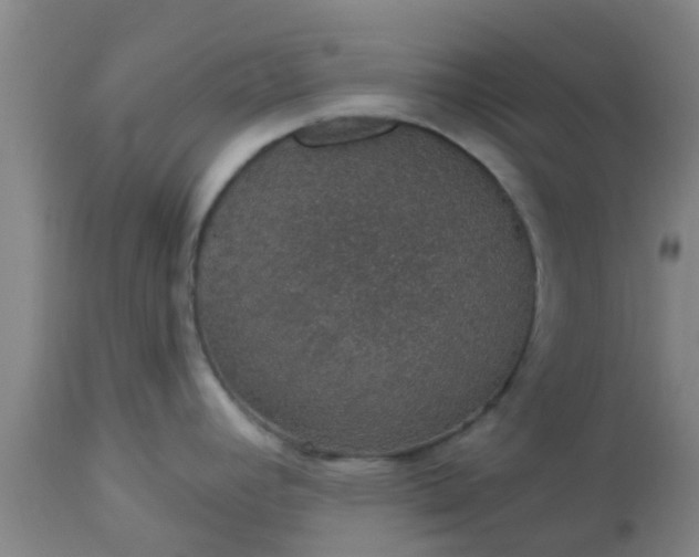 X0000112911392200909071524