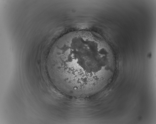 X0000112911393200909071524