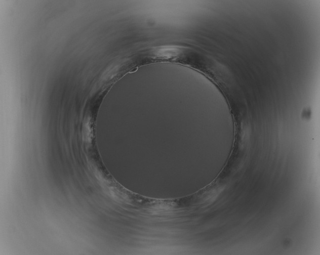 X0000112911394200909071524