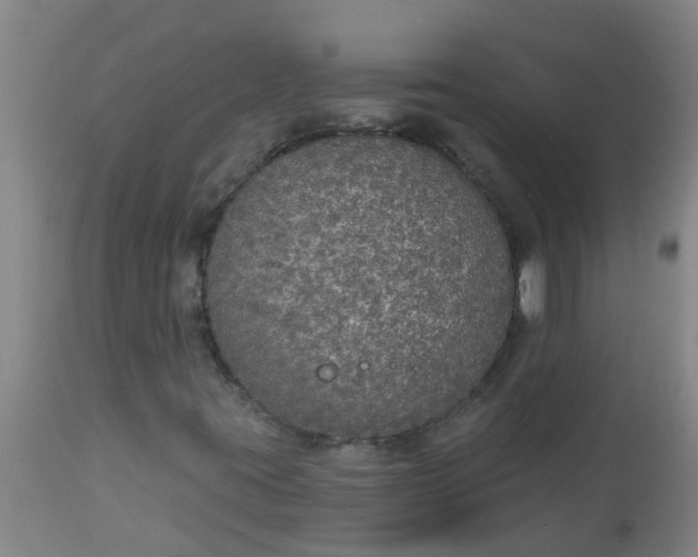 X0000112911395200909071524