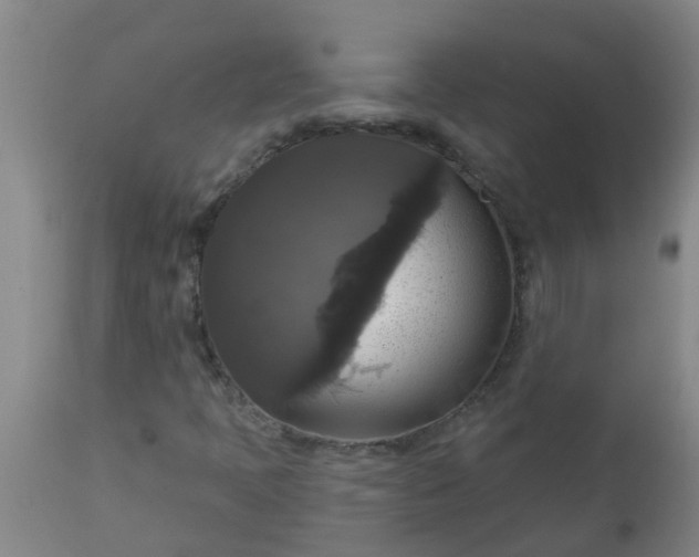 X0000112911397200909071524