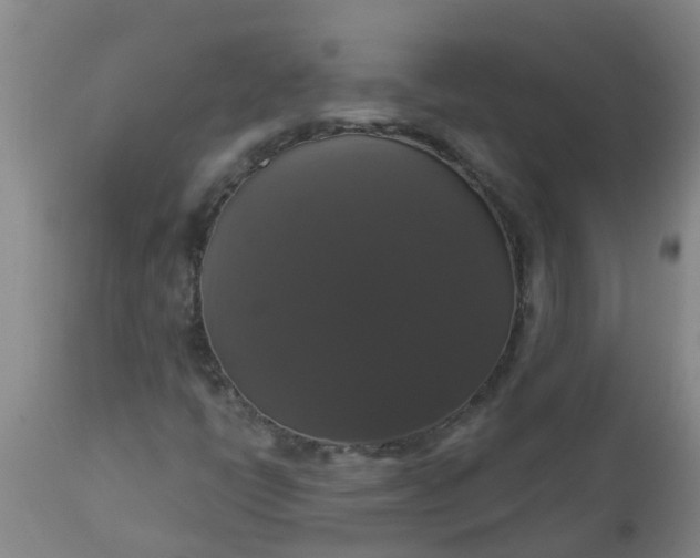 X0000112911398200909071524