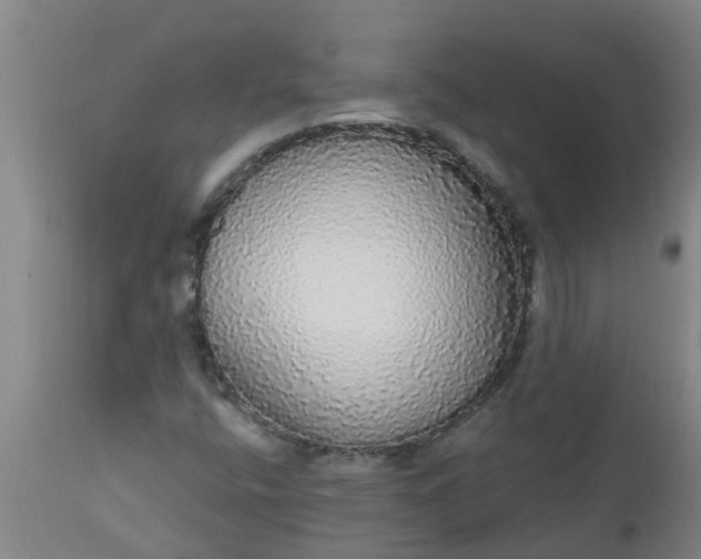 X0000112911400200909071524