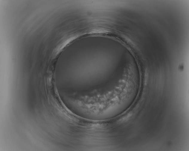 X0000112911401200909071524