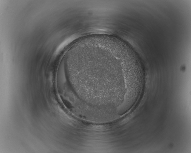 X0000112911402200909071524