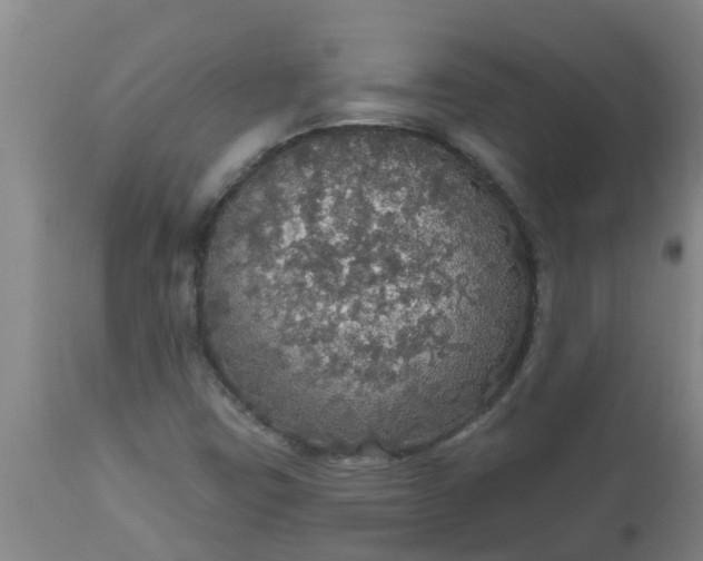 X0000112911403200909071524