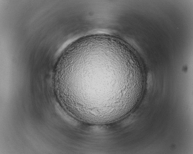 X0000112911404200909071524