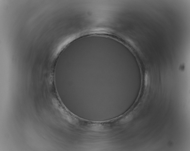 X0000112911405200909071524