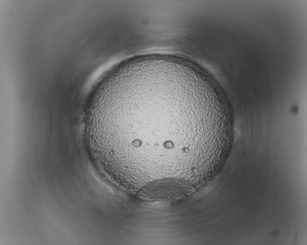 X0000112911406200909071524