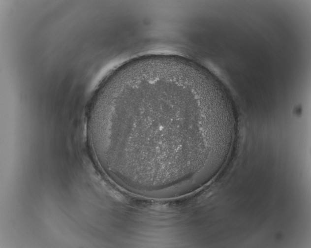 X0000112911408200909071524