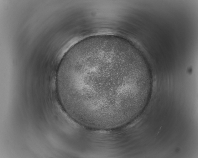 X0000112911409200909071524