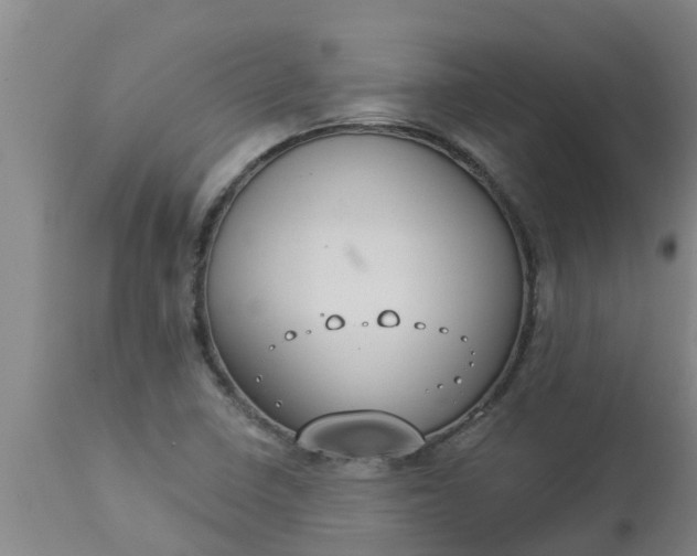 X0000112911410200909071524