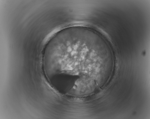 X0000112911411200909071524