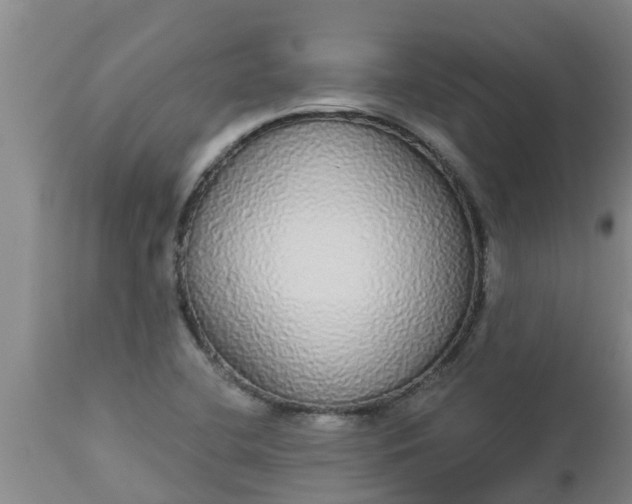 X0000112911412200909071524