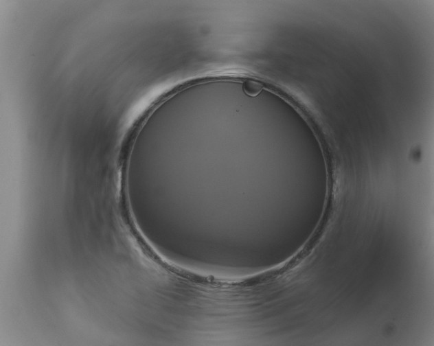 X0000112911414200909071524