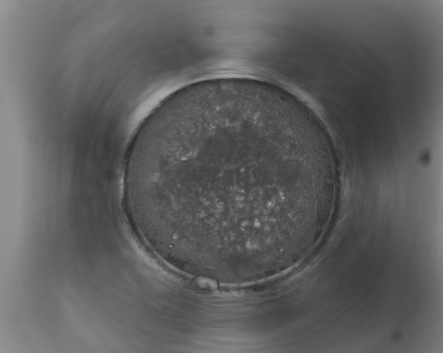 X0000112911415200909071524