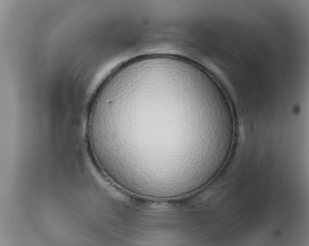 X0000112911416200909071524