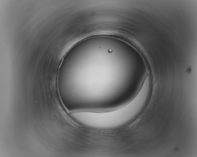 X0000112911417200909071524