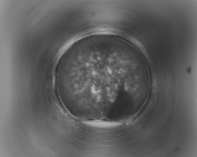 X0000112911419200909071524