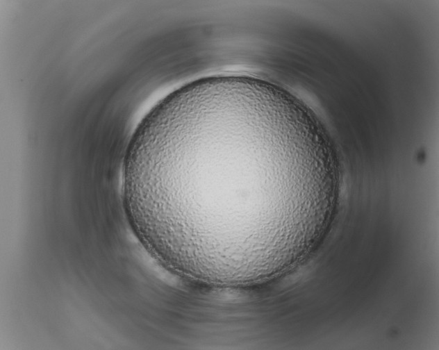 X0000112911420200909071524