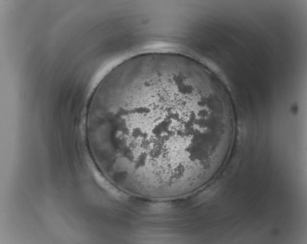 X0000112911421200909071524