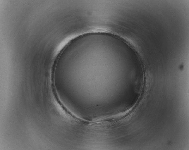 X0000112911422200909071524