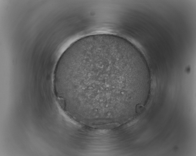 X0000112911423200909071524