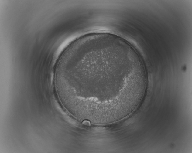 X0000112911424200909071524