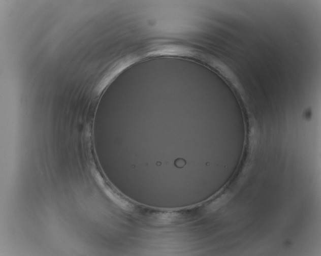 X0000112911425200909071524