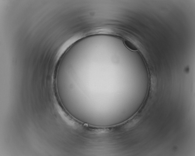 X0000112911426200909071524