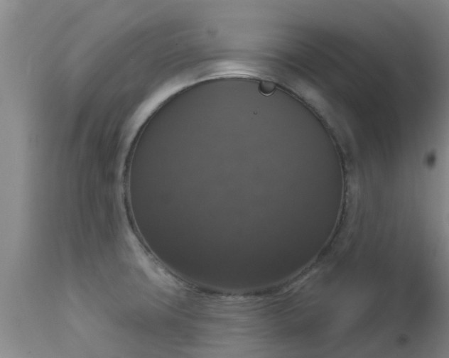 X0000112911427200909071524