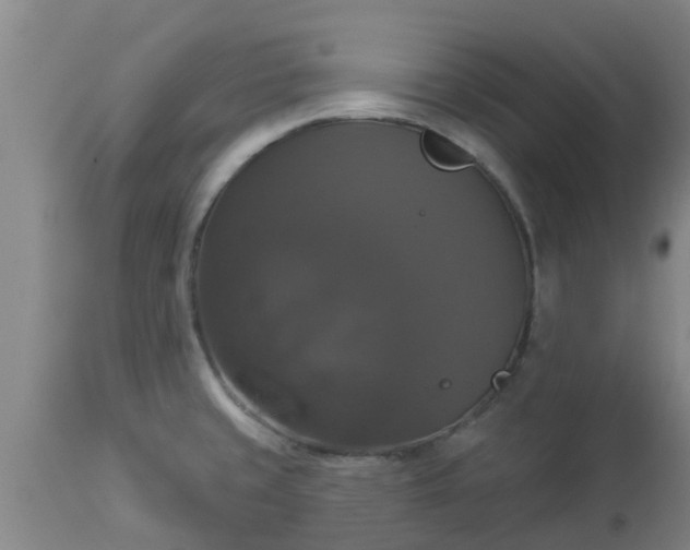 X0000112911429200909071524