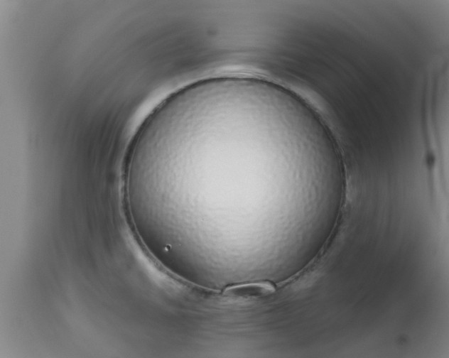 X0000112911430200909071524