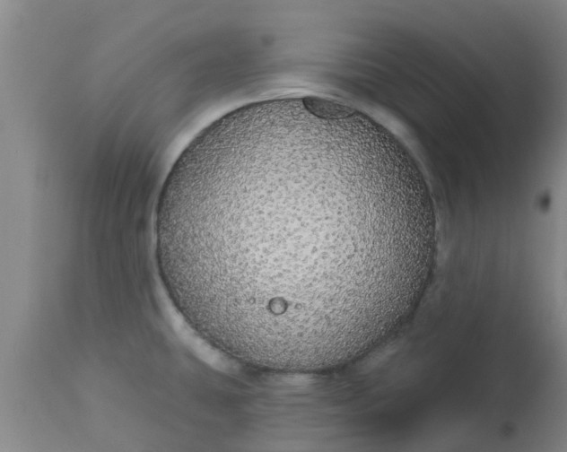 X0000112911431200909071524