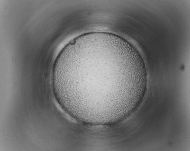 X0000112911432200909071524