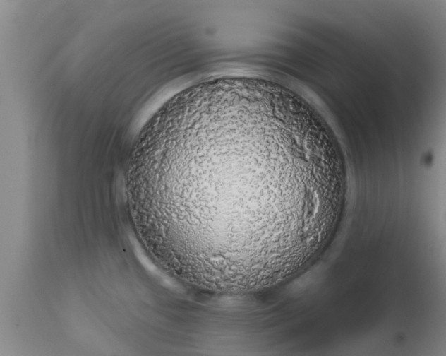 X0000112911433200909071524