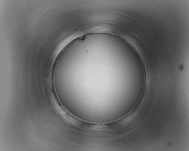 X0000112911434200909071524